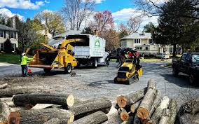 Best Emergency Tree Removal  in Ranlo, NC