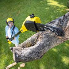 Best Sod Installation  in Ranlo, NC